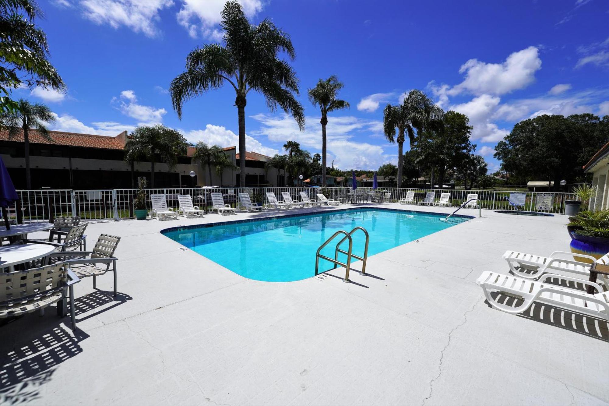 Florida Condos On Lake Tarpon Palm Harbor Esterno foto